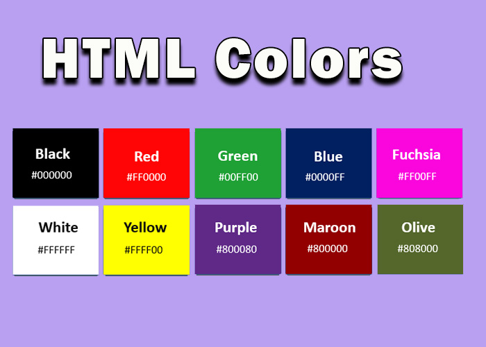 HTML Colors: with Examples -webprograming - html - -